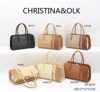 Ladies bag